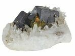 Galena, Chalcopyrite and Quartz Crystal Cluster - Bulgaria #62248-2